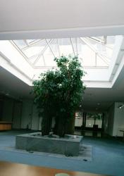 7FriedrichEbertStr82b7